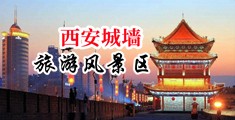 大吊干骚逼网站中国陕西-西安城墙旅游风景区